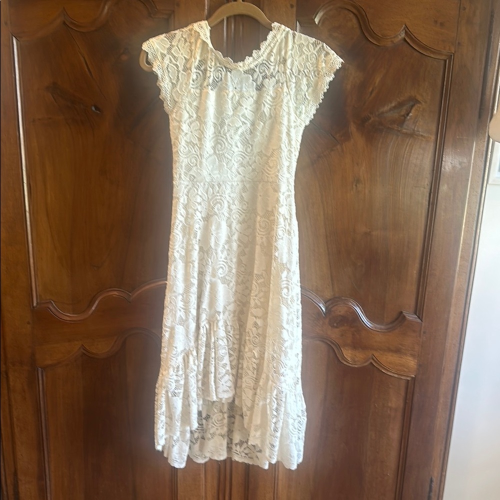 Elegant Lace Dress